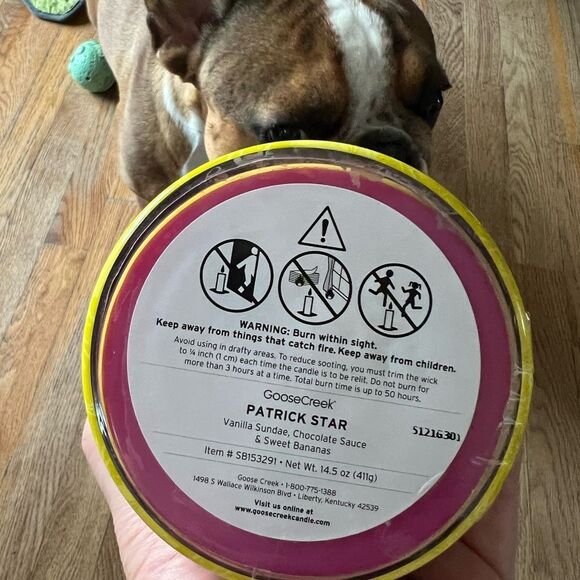 1 LEFT! SpongeBob by Goose Creek Patrick Star 14.5 oz 3 wick Candle SOLD OUT - Picture 5 of 7